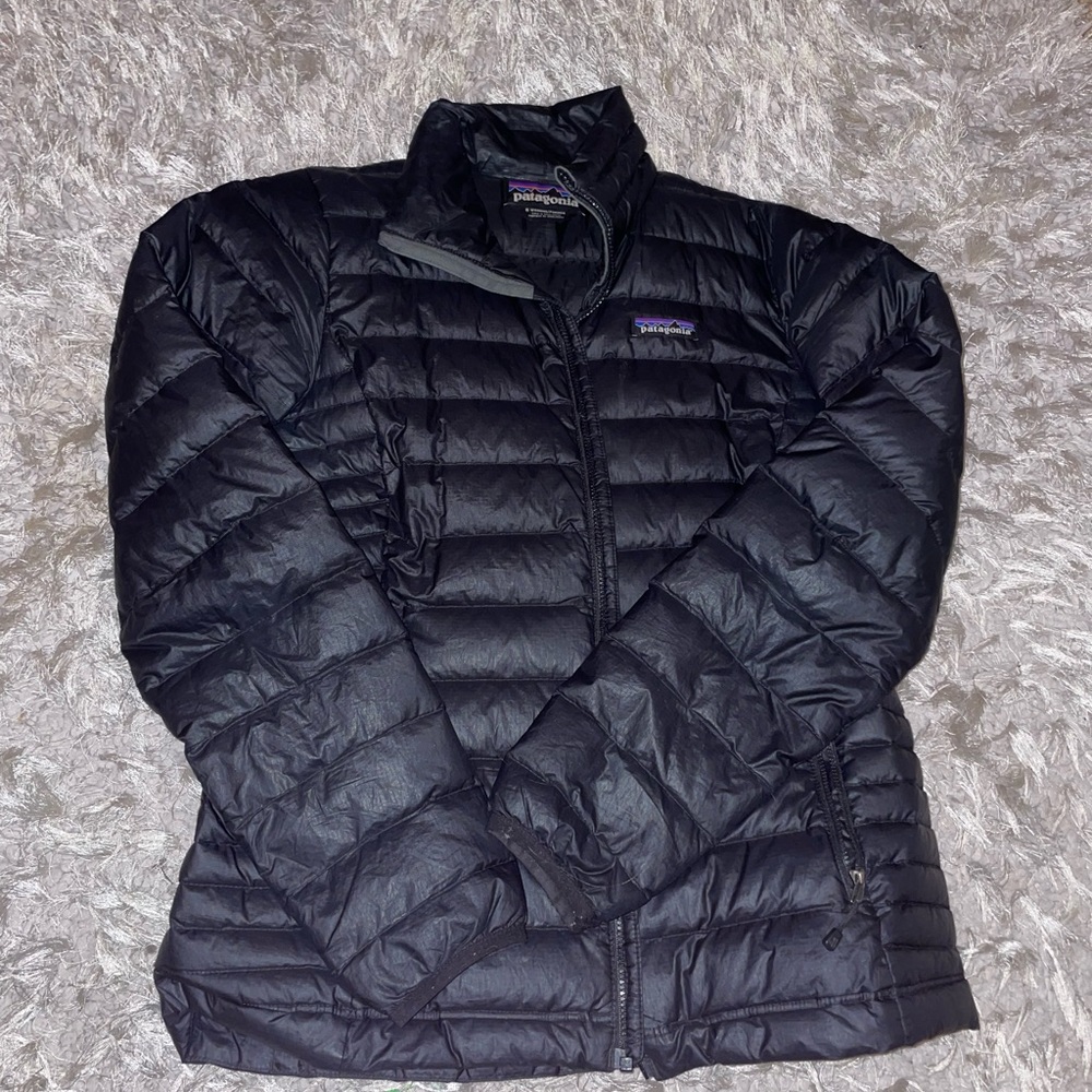 Black puffer Patagonia